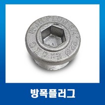 졍션박스 엔트리홀 마개 방폭플러그36mm, 1개