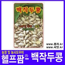 헬프팜 백작두콩 10립 작두콩 종자 씨앗 동원농산종묘