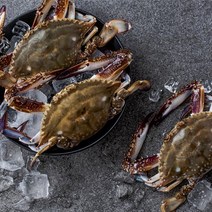 서해 제철 생물 활 꽃게 1kg 2kg 3kg 당일조업 신선한 꽃게 가을 숫꽃게 봄 암꽃게, 3kg 9~14미내외