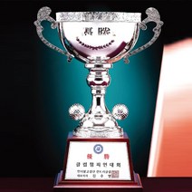 트로피제작 싱글기념컵트로피 우승트로피 이글패DS10467-1