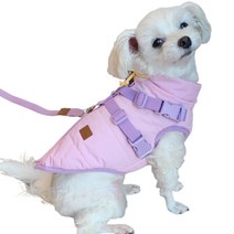 [강아지가매는가방] 리마이독 강아지 발열 패딩 하네스 + 2m 리드줄 세트, 핑크