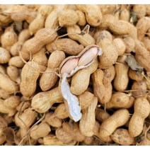 국산 자연건조 생피땅콩 1kg, 2kg