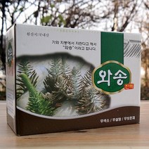 와송즙 1박스 100ml x 60p 국내산 와송진액 와송액기스, 1개, 상세페이지 참조