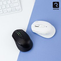 로이체 무선겸용 무소음 무선 블루투스 마우스 RX-560 DUAL, 블랙