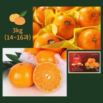 천혜향 제철 제주 천혜향 가정용 선물용 3kg(14-16과) [초록자연], 단품, 단품