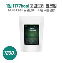 20g전용 스푼제공 리얼게이너1200g 유청단백분말WPC64% 혼합야채분말 플레노요거-yo 아미노파워등 하루 12회로 충분한 단백질 보충, 본문참고, 20g전용 스푼제공 리얼게이너1200g 유청단백분말WP