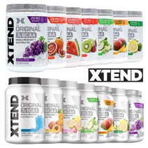 엑스텐드 Xtend BCAA 운동 헬스 보충 제로슈가 아미노산 30서빙 90서빙 모음, 8. 프리덤 아이스 30서빙 405g