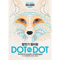 점잇기 컬러링:안티 스트레스 30000 Dots, 라이카미(부즈펌), 편집부