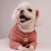 강아지 고양이 목걸이 이름표 얼굴 드로잉 등록번호 각인가능, 22
