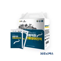 국내산 민물장어 진액 장어즙 엑기스 장어진액 야관문 우슬 아르기닌 오가피 당귀 기력보충 원기회복 보양식 고농축 건강즙 선물세트 추천 식약청 인증, 2박스, 70ml