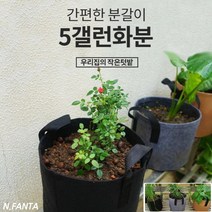 부직포 화분 식물 블루베리 키우기 5갤런 30x25 고구마 감자 블루베리 모종 키우기 베란다 텃밭 흙 담기 화분, 2화분5갤런-그레이
