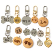 강아지 반려동물 네임택 이름표 인식표 팬던트, 써지컬 원형 L (실버), 이중링(스테인리스)10mm