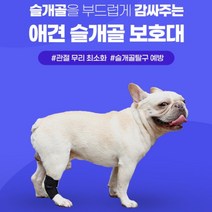 강아지 슬개골 보호대 무릎 다리 반려견 깁스 절뚝 삠 관절 탈구 애완견 애견 아대 노령견, 상품선택, 1애견슬개골보호대-S, 1개