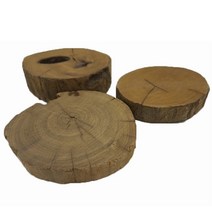 세틀 절단 유목 S 1개 모스활착판 높이 1cm