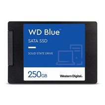 WD 내장 SSD 블루 2TB 최대 560MB/s (WDS200T2B0A), 500GB, Newest Generation