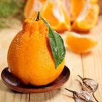 한라봉 2kg중대과(벌크)/2개구매시 총4.5kg발송, 단품