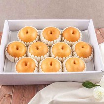 나주 신고배 선물세트 7.5kg (11-12과) 과일선물 개업 이사 축하 감사 행사 상사 직원 동료