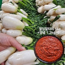 총각무알타리