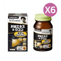 일본 노구치의학 간 추출물 + 강황 90정X6