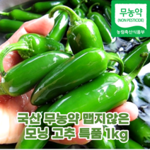 국내산 국산 모닝 고추 특품 1kg 무농약 맵지않은 미니 아삭이 오이맛 안매운 고추 제철 음식 프리미엄 특산품 농산물