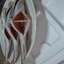 동울산수산 손질 반건조제수용 민어조기 영상가이석태 43cm 35cm 이상 한마리 세마리, 35cm이상세마리묶음