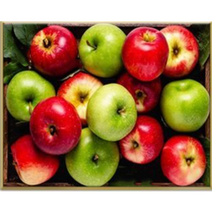 JISAN 명화그리기 50 X 40 cm 캔버스형 DIY 세트, 금전홍청 사과