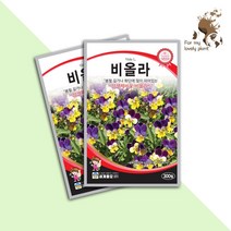 비올라 300립 세계종묘 화훼류 씨앗 삼색 제비꽃 팬지