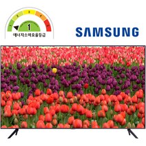 삼성전자 55인치 사이니지TV 비지니스 TV 모니터 유튜브 UHD 4K LED 1등급 BE55A-H 1등급 [무료설치][무료폐가전수거], 189cm/75인치, 아니요, 벽걸이형