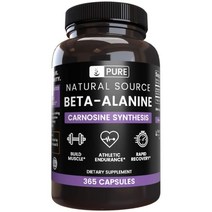 Pure 퓨어 Beta-Alanine 베타 알라닌 365정