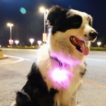 led빔펜던트 강아지 고양이 댕댕이 팬던트 애견 야광 야간 밤 산책용품 패션펫플 불빛, 블루