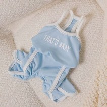 펫라이엇 봄 여름 강아지옷 올인원 트레이닝복 체육복, one color