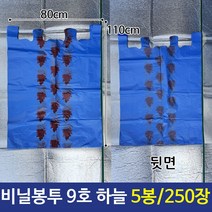 250장 9호 일반비닐봉투 하늘색 비닐봉지 5묶음 976111EA