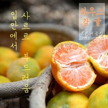 [제이샘 10월 4일 출고] 하우스감귤, 하우스감귤 3kg, 1개