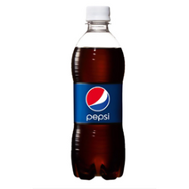 펩시콜라 500ml *20개 업소용, 2개
