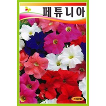 씨앗 페츄니아 일반종 혼합 1000립