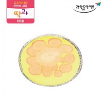 산염기 실험 카레 지시약 과학 5인 키트 어린이집교구 과학실험용 실험실 초등과학실험 실험기구 과학키트