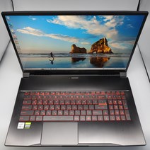 MSI 17인치 GF시리즈 게이밍 중고노트북 RTX3050Ti, GF75 10UD, WIN10 Home, 16GB, 512GB, 코어i7, 블랙