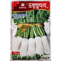 팜한농 도령알타리씨앗 2000립 가을김장무배추종자, 1개