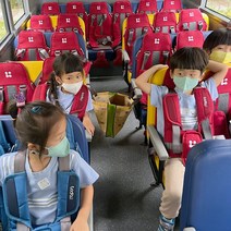 프로피 그룹2(W3) 어린이 통학버스 안전벨트 평가인증 카시트, 민트