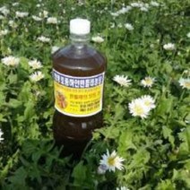 흰민들레 & 엉겅퀴3년숙성된 효소1.8L, 1.8L, 1개