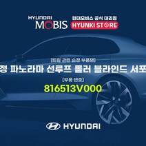 현대모비스 판넬 순정 파노라마 선루프 롤러 블라인드 서포트 로어 (816513V000)