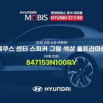 현대모비스 에쿠스 센터 스피커 그릴 색상 울트라마린 (847153N100RY)