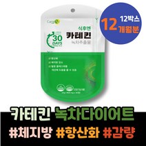 해썹인증 남녀 체지방컷팅제 식이요법 체지방빼는법 3주년선물 10대 여자친구 남성 백일선물 셀룰라이트 고3 옆구리살 3개월 1일1식 DIET 허벅지셀룰라이트 다이어트 녹차추출물