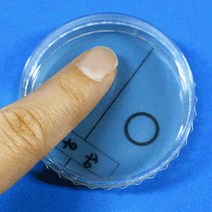 바이러스 검출 손에 있는 세균검사 5인 키트 초등교구 교육완구 조립키트 초등과학 초등학교과학 실험세트