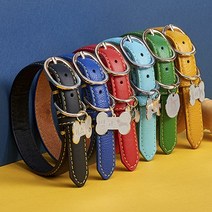 자체제작 아미펫 실루엣 각인 컬러가죽 강아지목줄 & 인식표, 그린원형펜던트