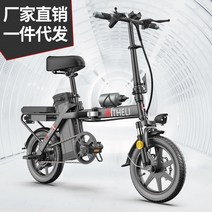 THELi 야외 접이식 소형 전원 보조 리튬 배터리 전동 자전거, 960w 20ah, 그물