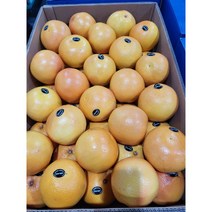 남아공 자몽 2kg