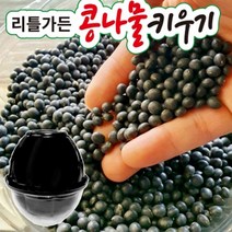 키우기키트 리틀가든콩나물키우기 콩나물콩 콩나물시루 콩나물 콩나물키우기