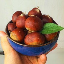 2023 명품 햇밤 특등품 진주밤 공주밤 제수용 밤, 1box, 2kg(햇밤 특)