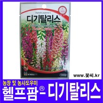 헬프팜 유채꽃 1000립 씨앗 세계종묘 종자